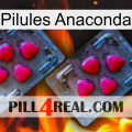 Anaconda Pills 14